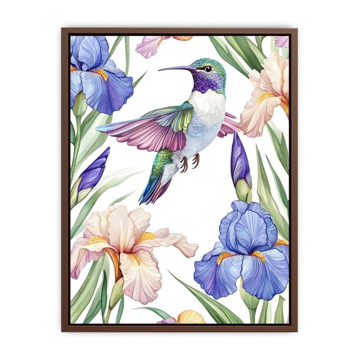 Colorful Hummingbird  Poster