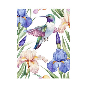 Colorful Hummingbird