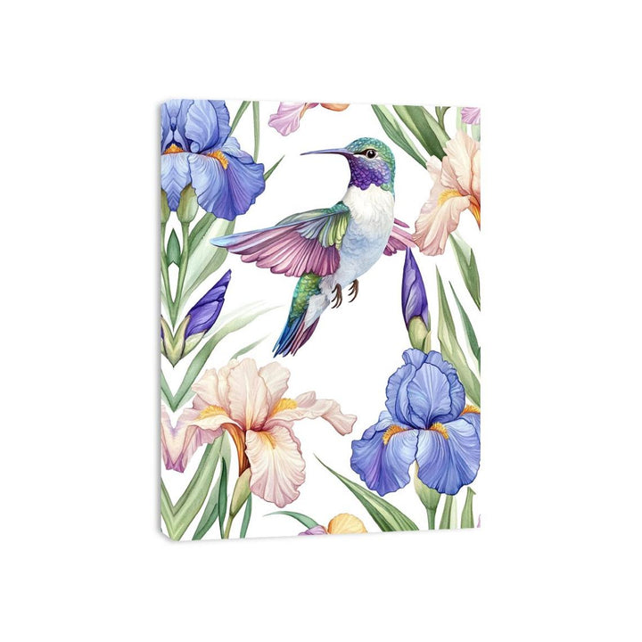 Colorful Hummingbird Canvas Print
