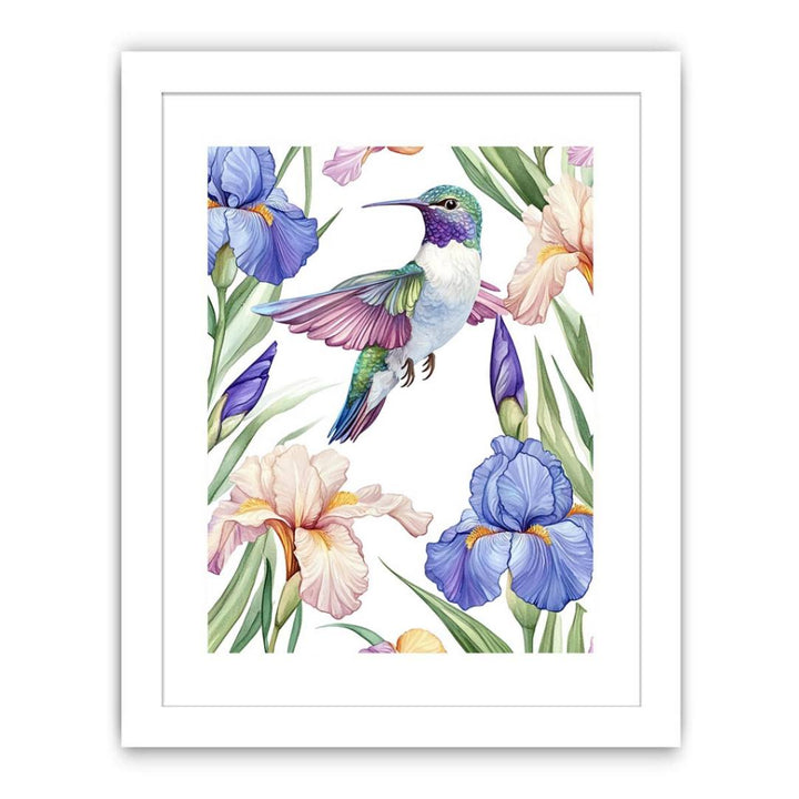 Colorful Hummingbird Streched canvas