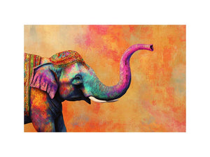 Indian Elephant