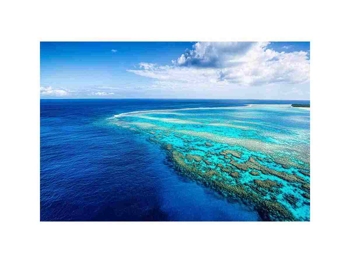 Aerial coral reef canvas photography for coastal living room styling.