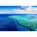 The Reef's Embrace