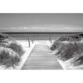 Monochrome Beach Path