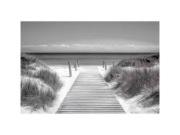 Monochrome Beach Path