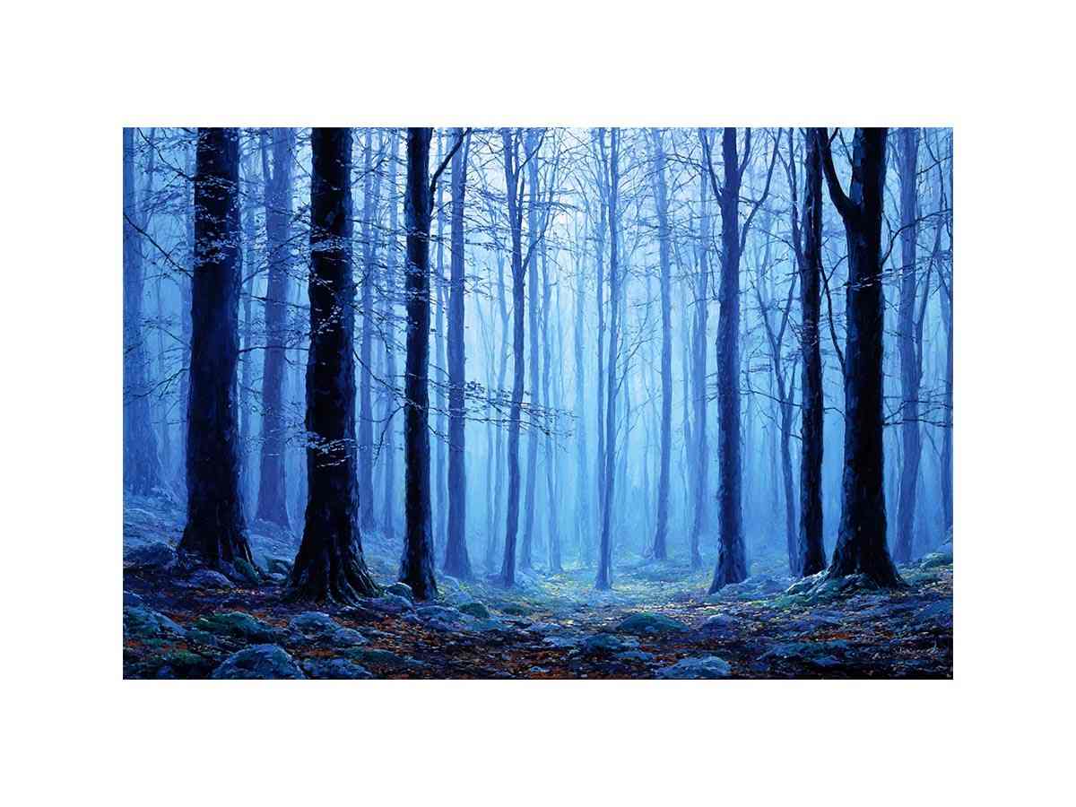 Misty Forest Blue