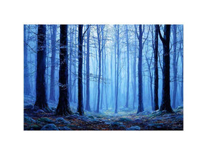 Misty Forest Blue