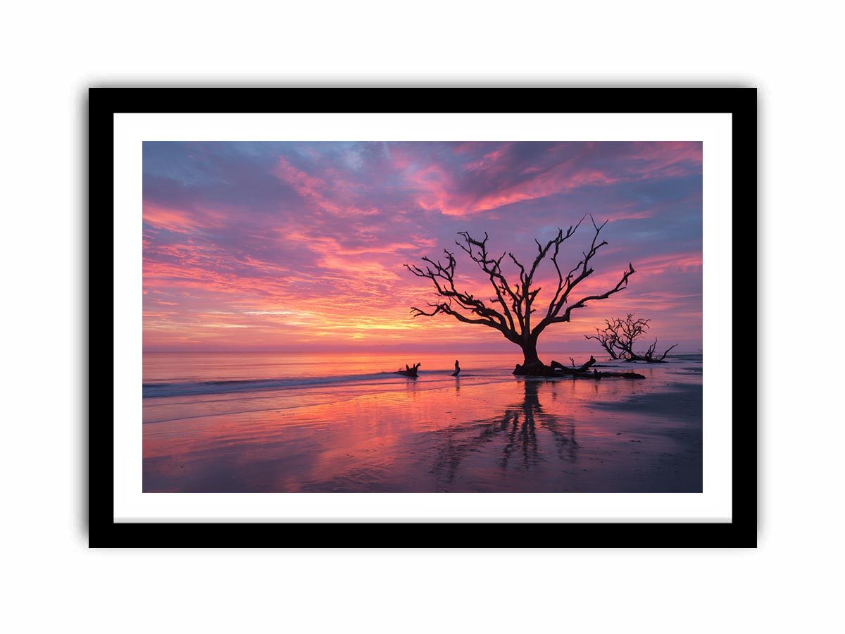 Framed Print