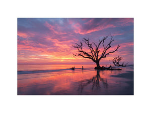 Dramatic sunset beach tree canvas art for modern coastal living room decor.