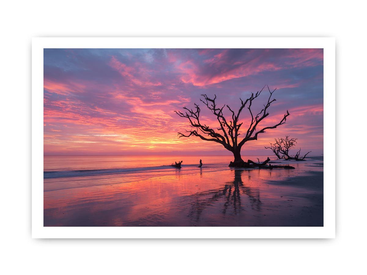 Dramatic sunset beach tree canvas art for modern coastal living room decor.