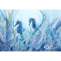 Seahorses