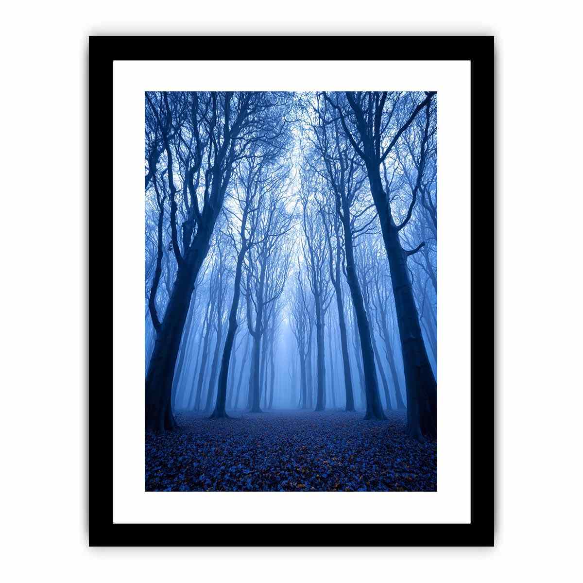 Framed Print