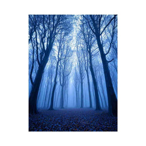 Misty Forest 