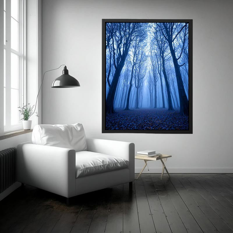 Misty Forest 