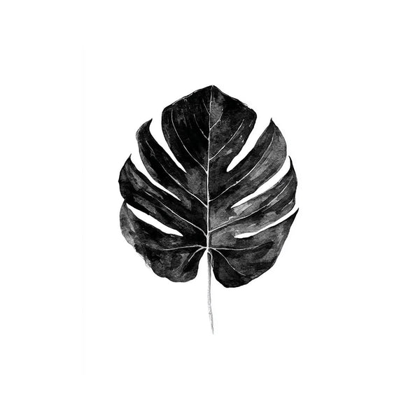 Monstera