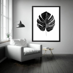 Monstera