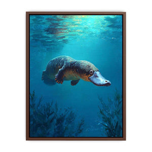 Platypus underwater wildlife canvas art for bathroom or coastal room decor.