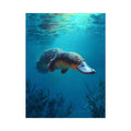 Platypus underwater wildlife canvas art for bathroom or coastal room decor.