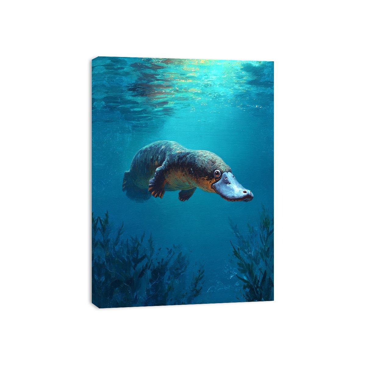 Platypus underwater wildlife canvas art for bathroom or coastal room decor.