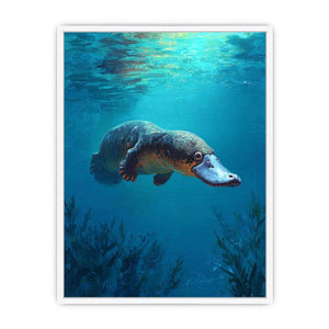 Platypus underwater wildlife canvas art for bathroom or coastal room decor.
