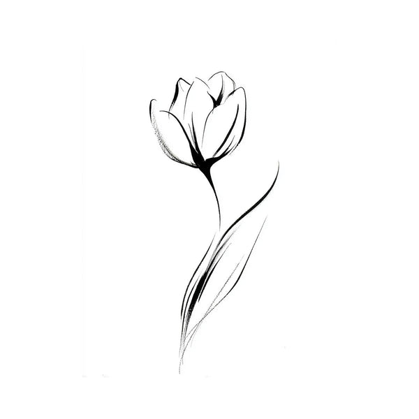 Tulip Illustration