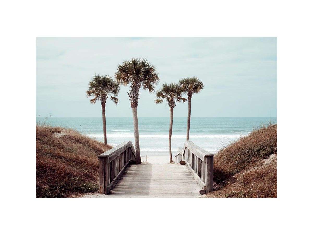 Coastal boardwalk with palm trees and ocean view for relaxed living room decor.