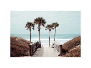 Beach Boardwalk