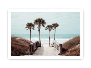 Coastal boardwalk with palm trees and ocean view for relaxed living room decor.