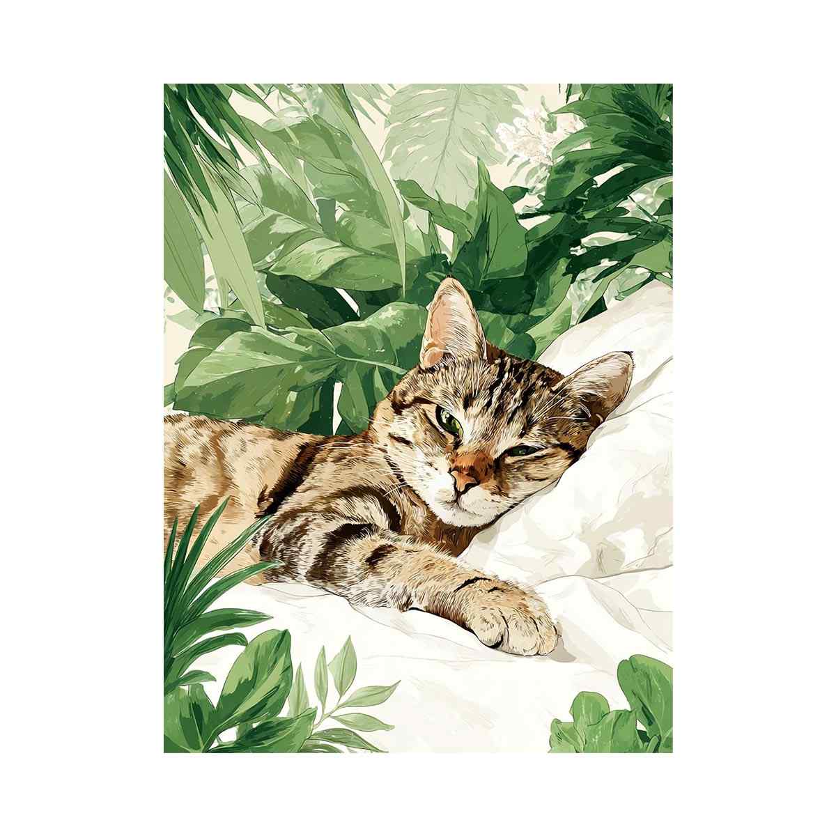 Tabby Cat