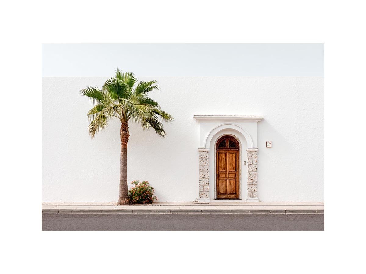Minimal Mediterranean palm doorway canvas art for bright modern entryway decor.