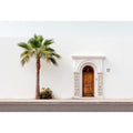 Palmshade Haven