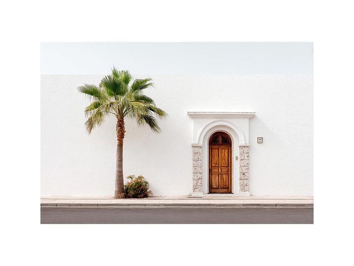 Palmshade Haven
