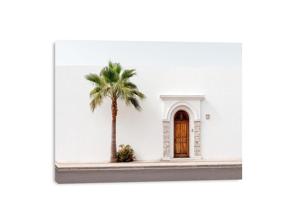 Minimal Mediterranean palm doorway canvas art for bright modern entryway decor.