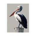 Pelican