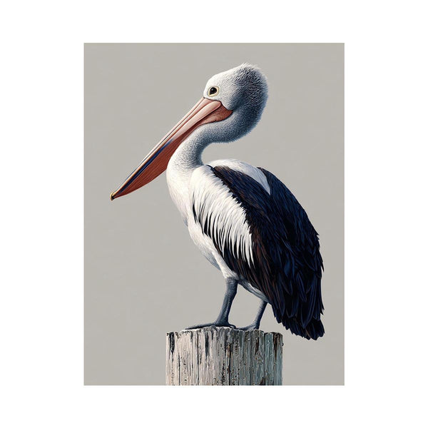Pelican