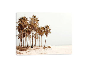 Neutral palm beach photography canvas art for coastal living room decor.