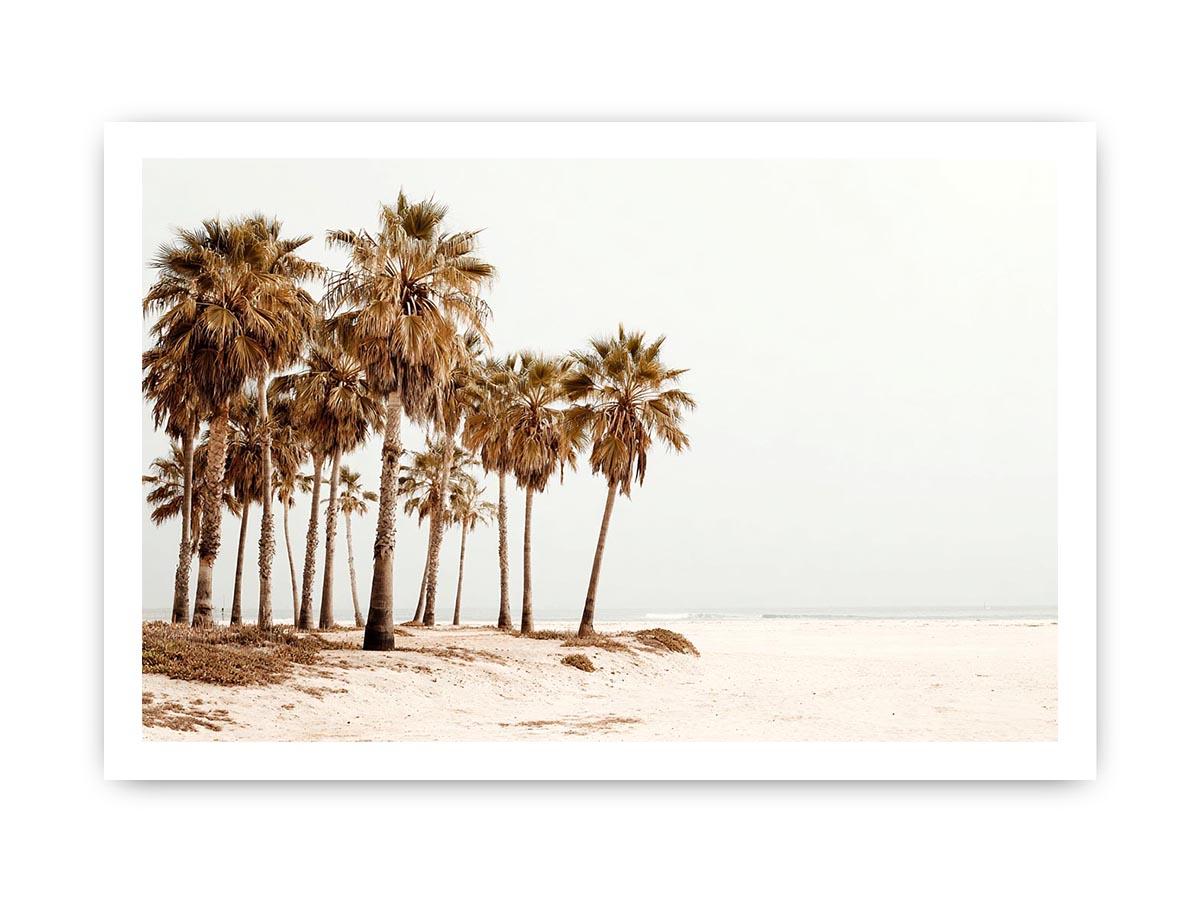 Neutral palm beach photography canvas art for coastal living room decor.