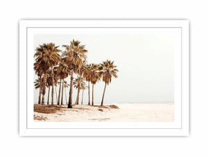 Neutral palm beach photography canvas art for coastal living room decor.