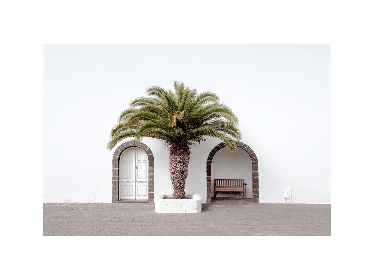 Minimal Mediterranean palm arch canvas art for modern entryway wall decor.