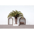 Beneath the Palm