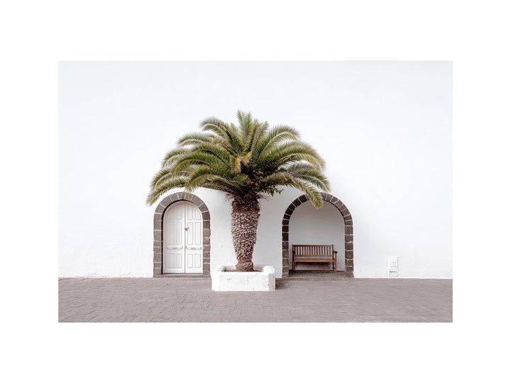 Beneath the Palm