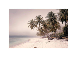 Misty tropical palm beach canvas art for soft coastal bedroom decor.