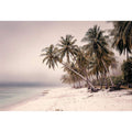 Whispers in White Sand
