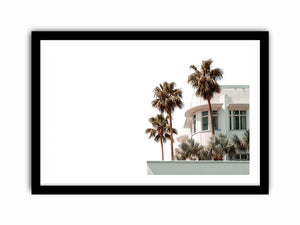 Palm architecture photography with white building and tropical trees for modern entryway decor
