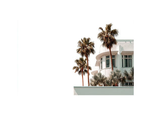 Palm architecture photography with white building and tropical trees for modern entryway decor