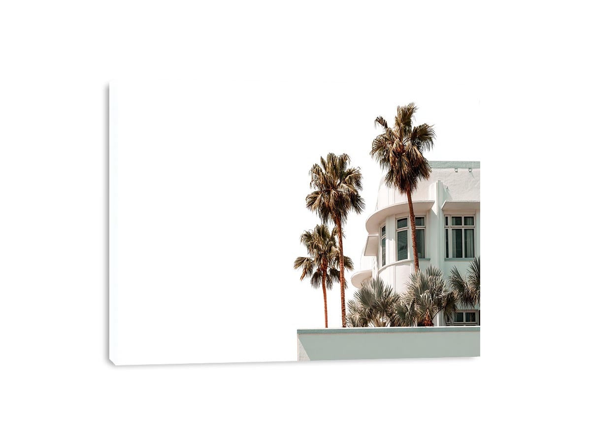 Palm architecture photography with white building and tropical trees for modern entryway decor