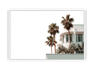 Palm architecture photography with white building and tropical trees for modern entryway decor