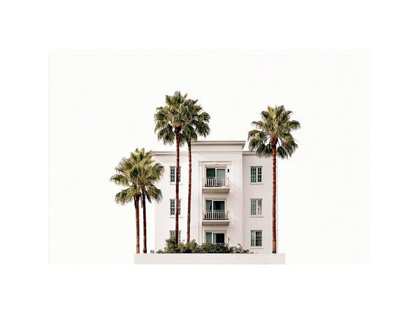 Still Palm