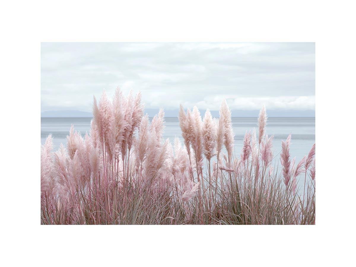 Soft blush pampas grass by the ocean as coastal botanical wall art for a serene bedroom.