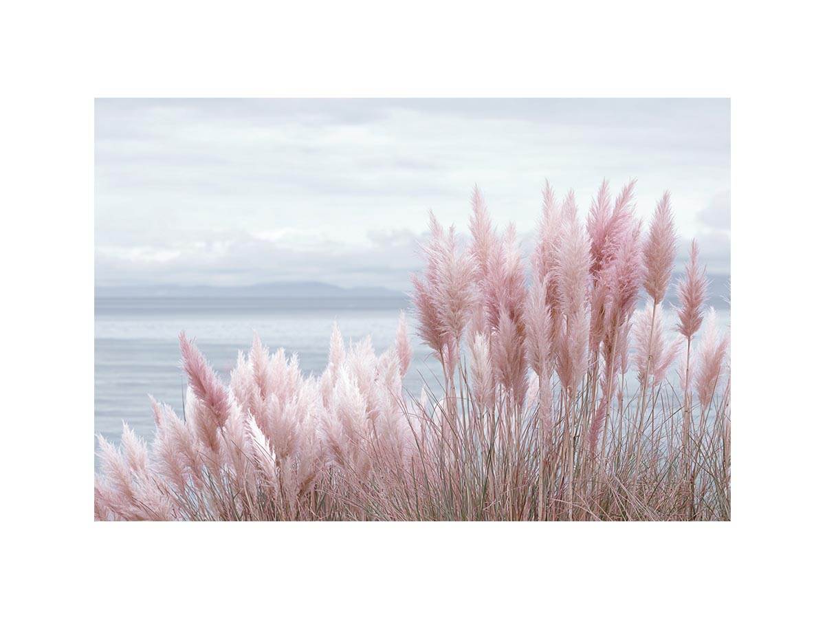 Blush coastal grass canvas art for soft beach bedroom decor.